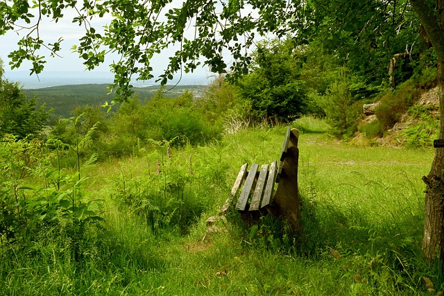 青岛队领先 青岛队领先