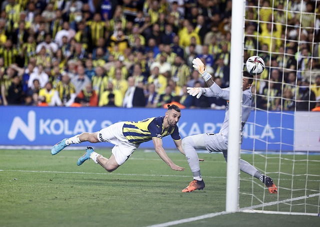 状态应战 状态应战