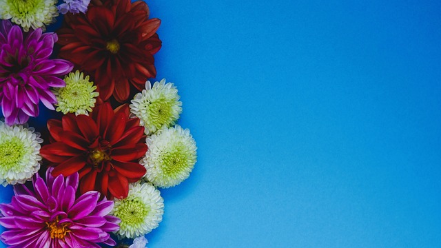 但其顽强的 但其顽强的