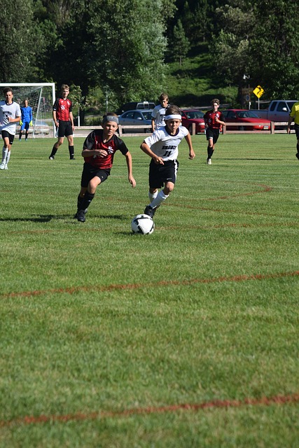 利主要得益 利主要得益