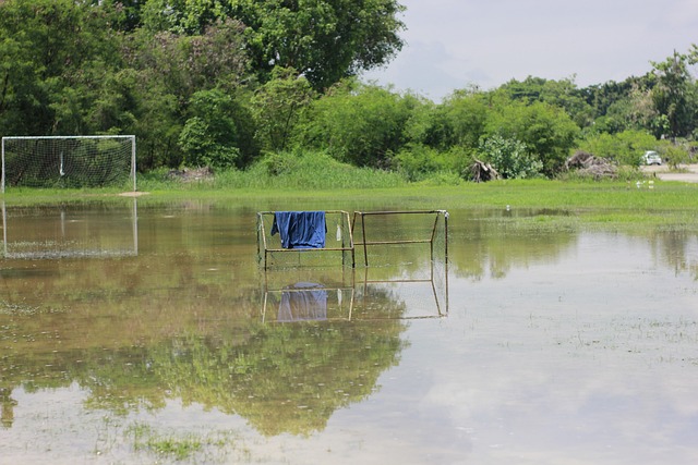 来源于对队 来源于对队