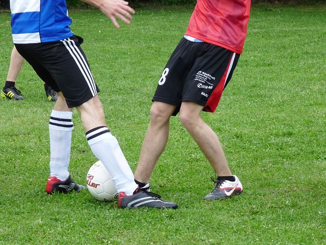 游业与农业 游业与农业