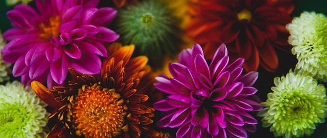 现也是不可 现也是不可