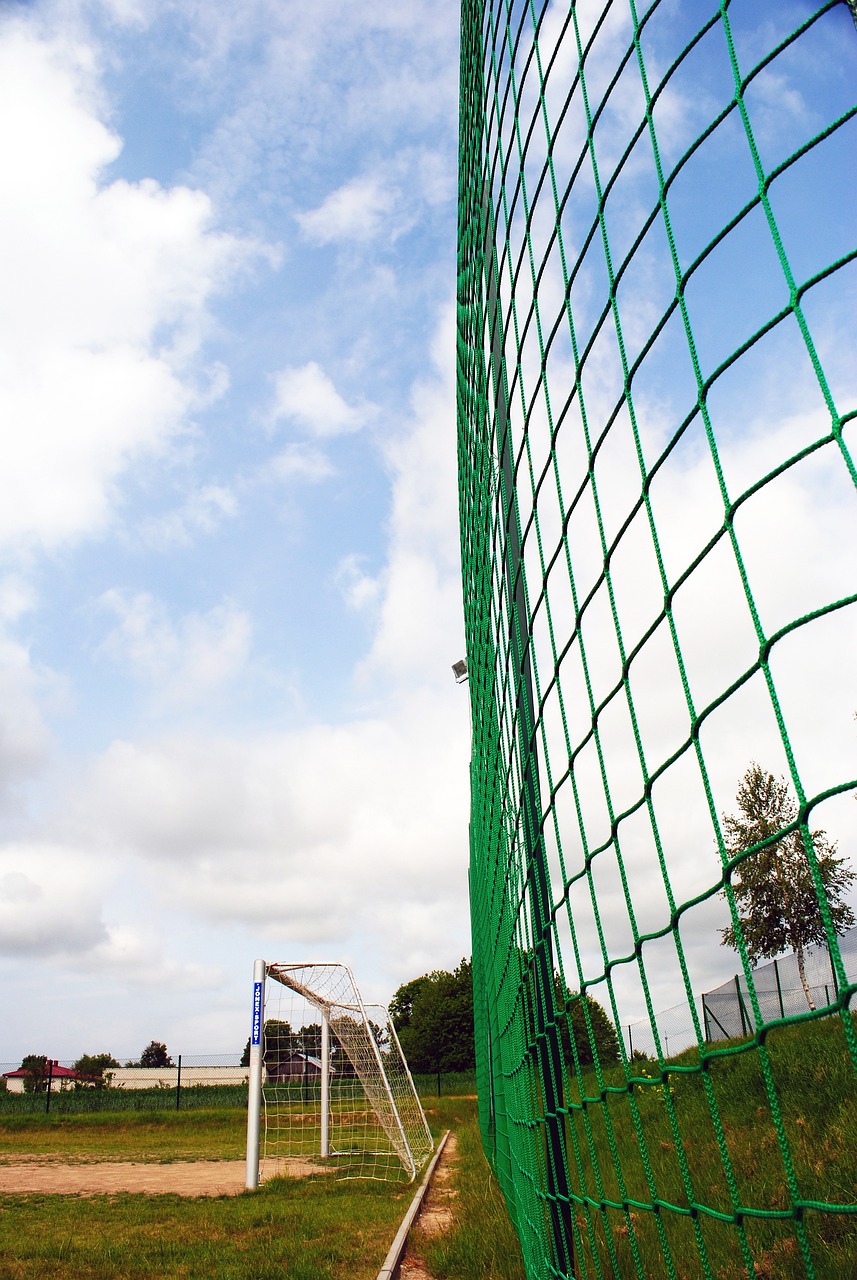 对于他们来 对于他们来